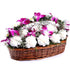 10 white Carnations 3 Orchid