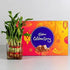 Choco Luck CELEBRATION RS 100 + BAMBO PLANT